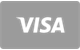 Visa kartica plačilna metoda za pologe in dvige v King Billy Casino